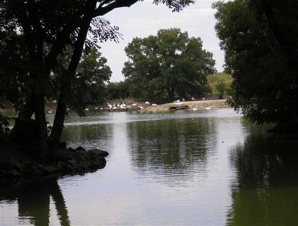 Image - A lake at the Askaniia-Nova Nature Reserve.