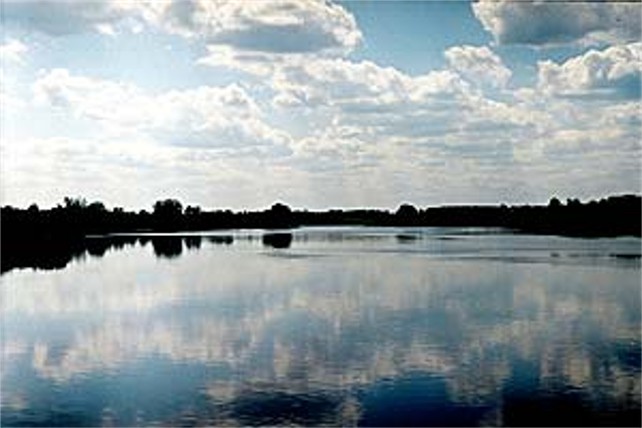 Image -- Boh River near Medzhybizh.