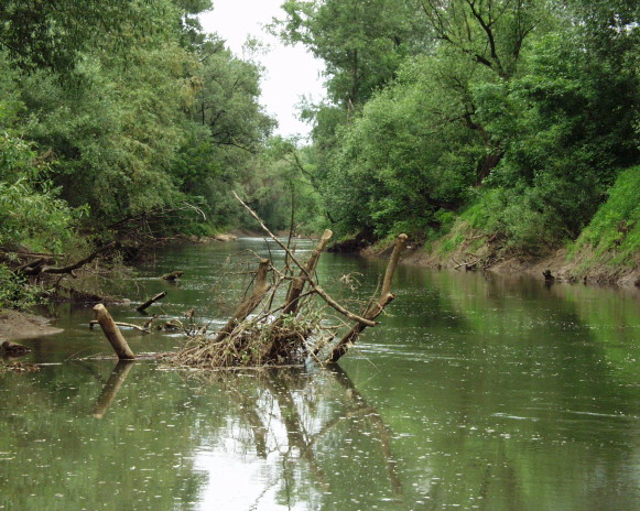Image - The Borzhava River in Prytysiansky Regional Landscape Park.