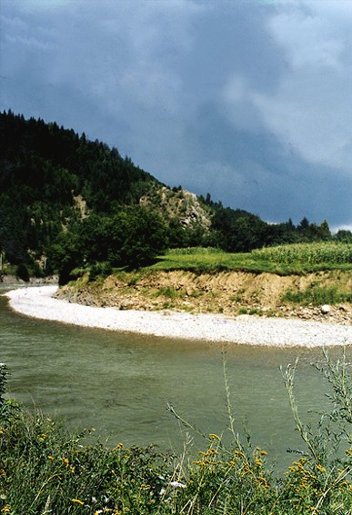 Image - The Cheremosh River flowing through Chernivtsi oblast.
