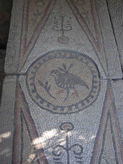 Image -- A floor mosaic detail in Chersonese Taurica.