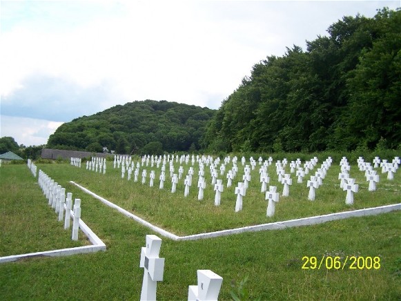 Image -- Graves of Division Galizien soldiers near the village of Chervone, Zolochiv raion, Lviv oblast.