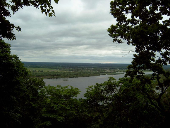 Image - The Kaniv State Nature Reserve.
