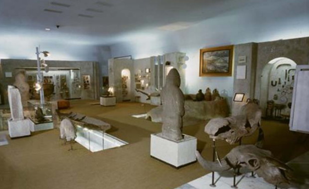 Image -- The Dnipropetrovsk National Historical Museum (exhibit).