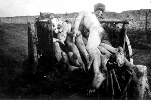 Image - Transporting corpses of starved peasants in Southern Ukraine during the Famine of 1921-22.