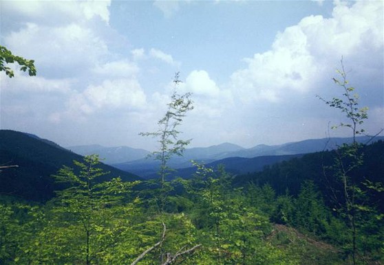 Image - Gorgany Mountains landscape (Carpathians).