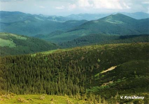 Image -- Gorgany Mountains panorama.