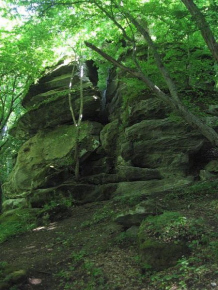 Image -- Haidamatskyi Yar Nature Reserve near Busha, Vinnytsia oblast.
