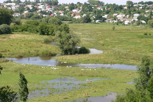 Image -- The Hnizna River near Velyki Birky, Ternopil oblast.