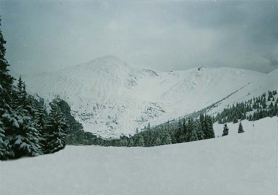 Image -- Mount Hoverlia in Chornohora in the winter.