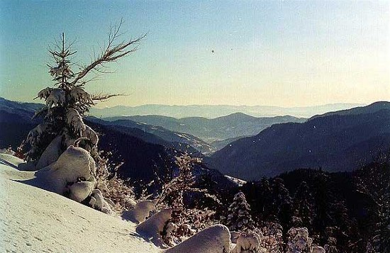 Image -- Hutsul Alps landscape near Rakhiv.