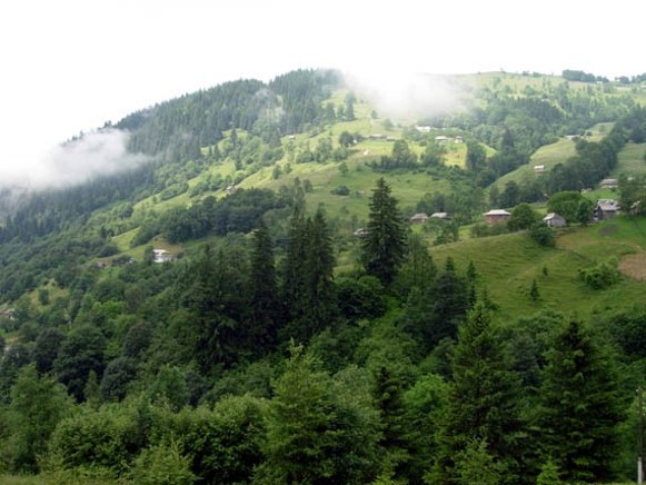 Image - A Hutsul region landscape near Kryvorivnia.