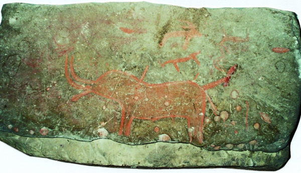 Image -- Kamiana Mohyla: a Grotto of the Bull petroglyph.