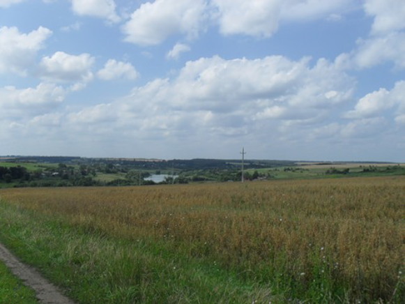 Image -- Kursk region landscape.
