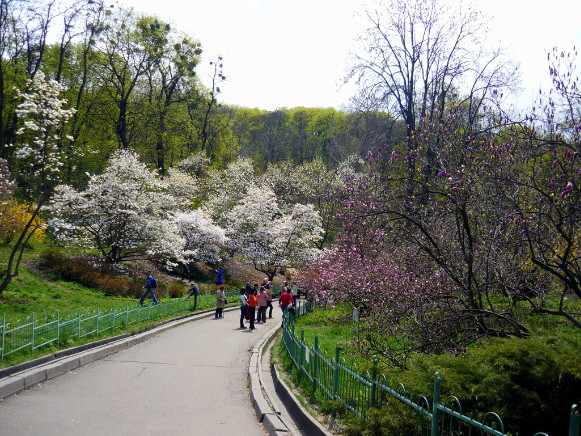 Image -- Kyiv University Botanical Garden.