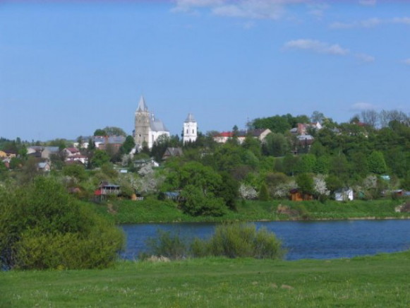 Image -- Lisko (Lesko): panorama.