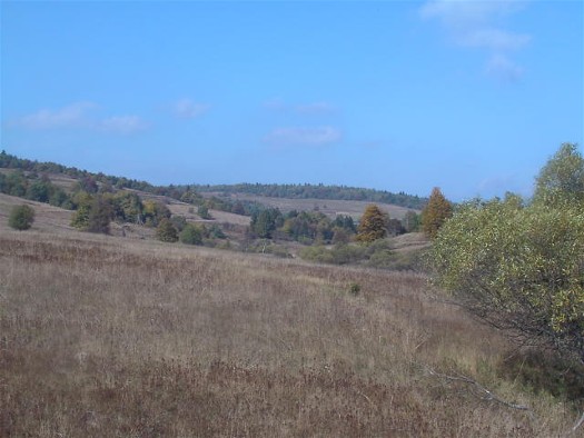 Image - Low Beskyd landscape in the Radocyna River valley.