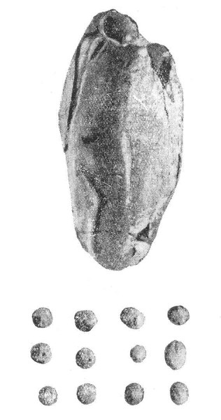 Image - A Paleolithic artefact excavated in Luka-Vrublivetska.