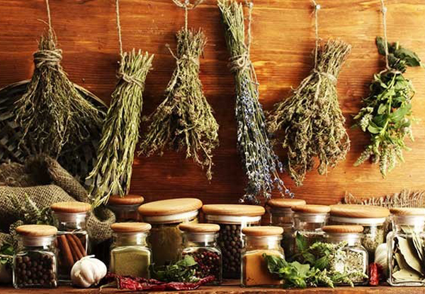 Image -- Medicinal plants and herbal remedies
