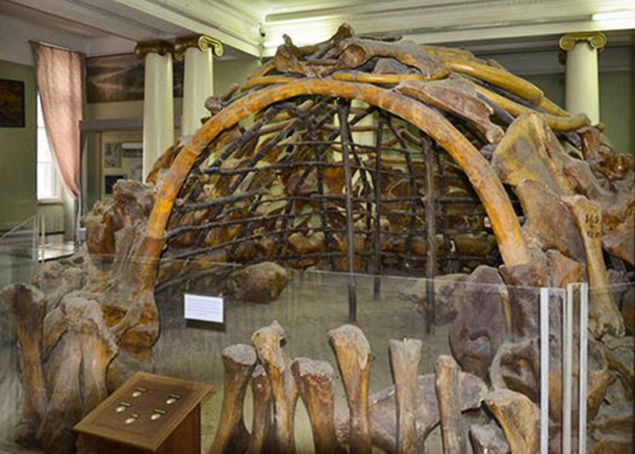 Image - The Mezhyrich archeological site: mammoth-bone dwelling (at the National Museum of Natural History in Kyiv).