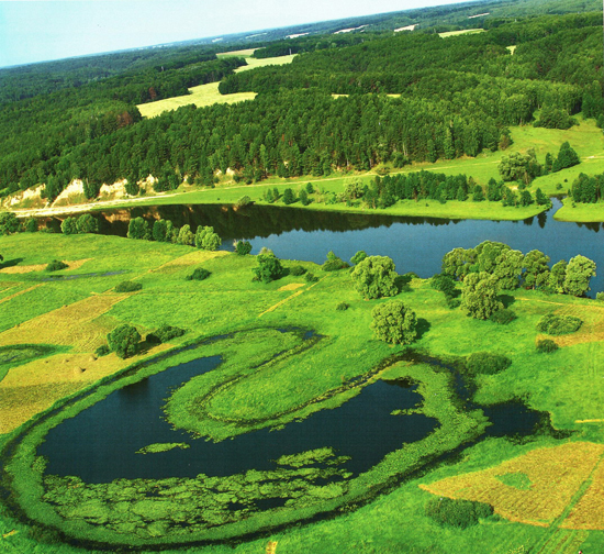Image - The Mizyn National Nature Park, Chernihiv oblast.