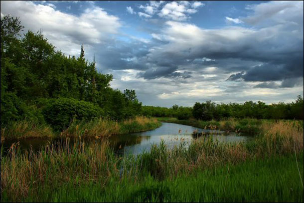 Image - The Molochna River in Zaporizhia oblast.