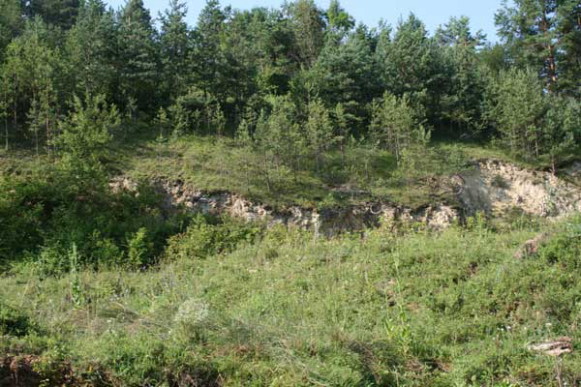 Image - The location of the Nezvysko settlement, Ivano-Frankivsk oblast.
