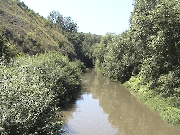 Image - The Nichlava River near its estuary.