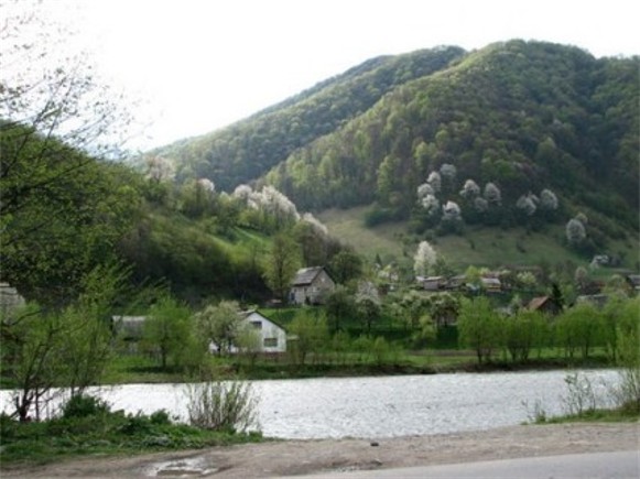Image -- A Pokutia landscape near Kolomyia.