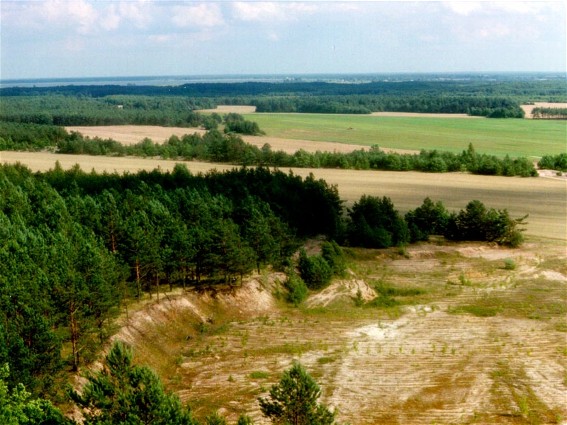 Image -- The Polisia region near Novhorod-Siversky.