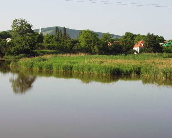 Image - The Borzhava River in Prytysiansky Regional Landscape Park.