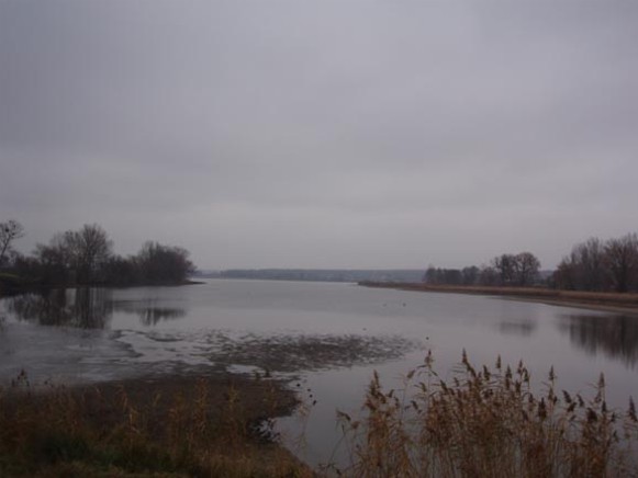 Image -- The Rostavytsia River near Ruzhyn, Zhytomyr oblast.