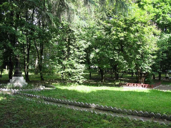 Image - Taras Shevchenko's lime tree in the Lyzohub family park in Sedniv.