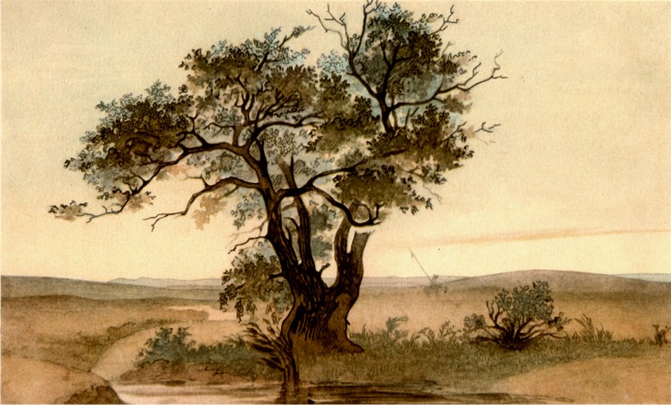 Image - Taras Shevchenko: Jagisagach (1848); watercolor.