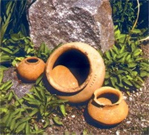 Image - Pit-Grave culture artefacts found at Storozhova Mohyla near Dnipropetrovsk.