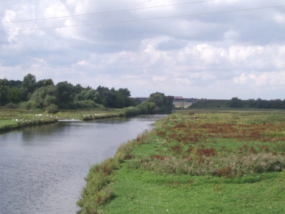 Image - The Strypa River in Koziv raion, Ternopil oblast.