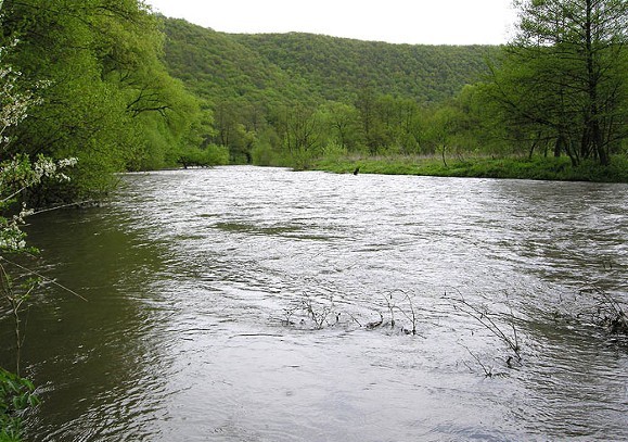 Image - The Strypa River near Zhnyborody, Ternopil oblast.
