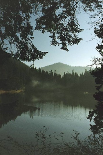 Image -- Synevyr Lake in the Gorgany Mountains (Carpathians).