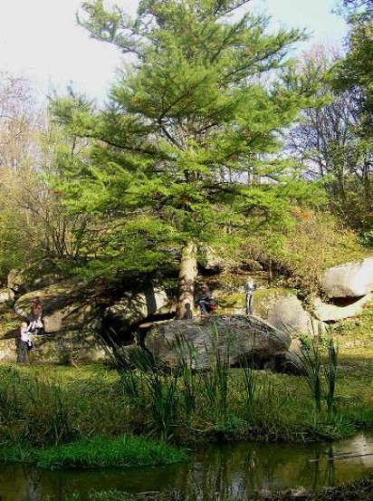 Image - Uman: the Sofiivka Park.