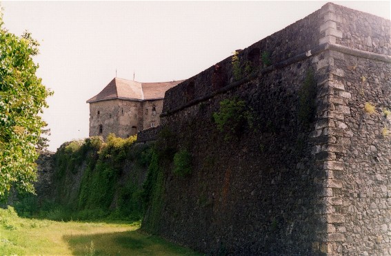 Image -- Uzhhorod castle.