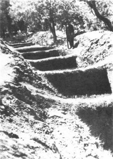 Image - Emptied mass graved of the Vinnytsia massacre victims.
