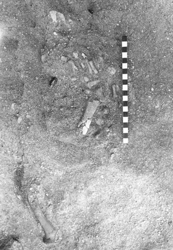 Image - The Zaskelna VI archeological excavation site, Crimea. 