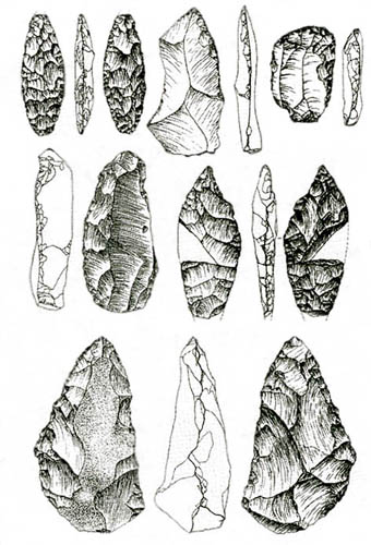 Image -- Paleolithic flint tools found at the Zhytomyr archeological site.