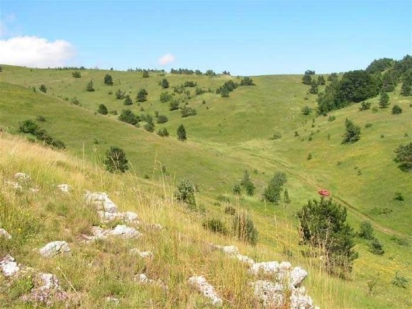 Image -- A plateau near the summit of Mount Ai-Petri.