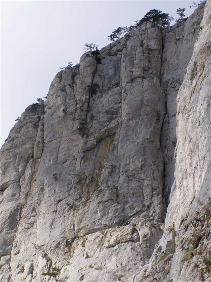 Image -- Mount Ai-Petri in the Crimean Mountains.