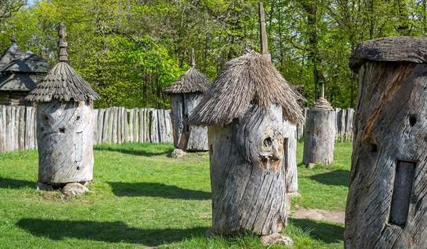 Image - Beekeeping (traditional borti).