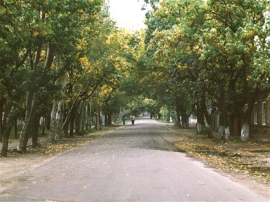 Image -- A park in Berdianske.