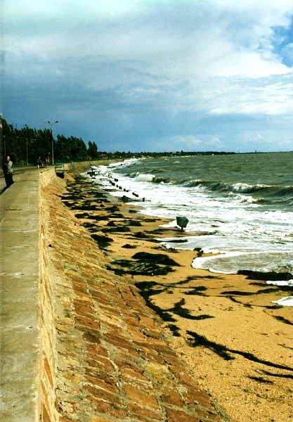 Image -- The Sea of Azov shore in Berdianske.