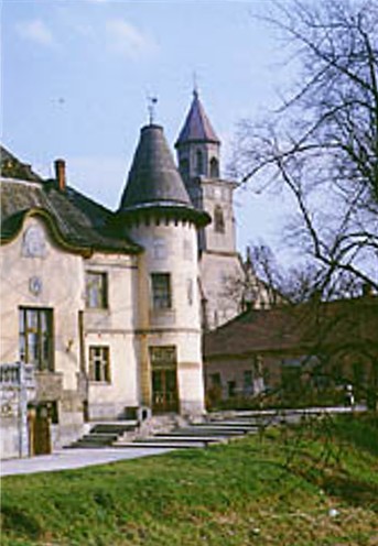 Image -- Berehove historical architecture (with the Roman Catholic Church in the background).