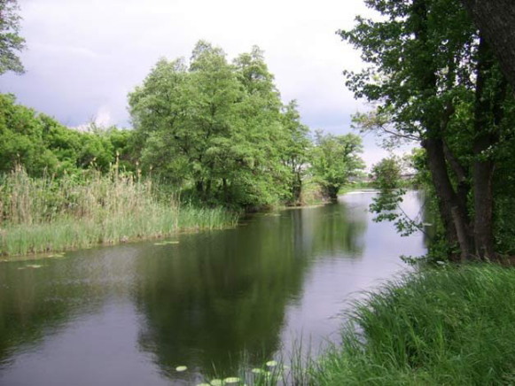 Image -- The Berestova River in Kharkiv oblast.